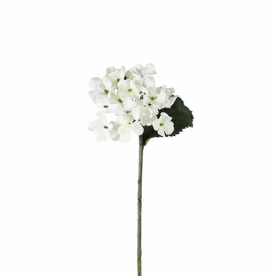 PLANTS - X12 Hydrangea Stems White