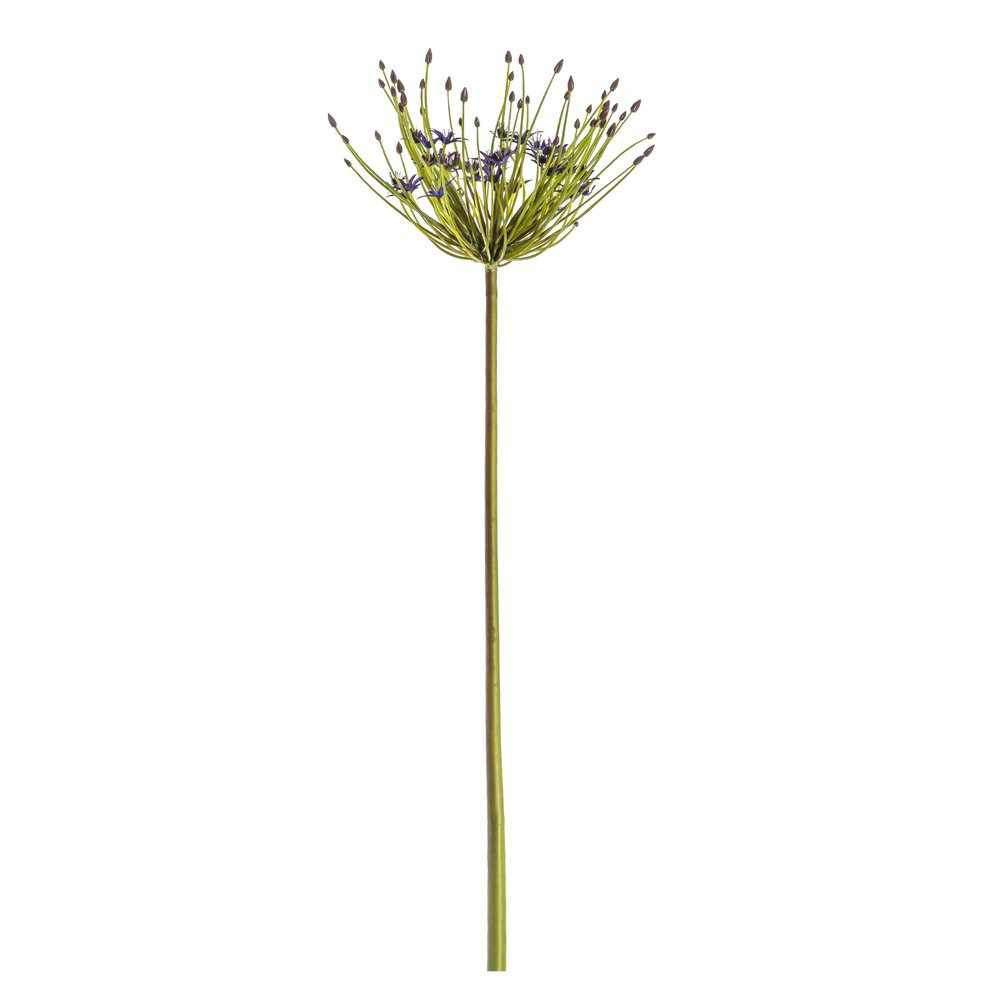 PLANTS - X2 Allium Stems