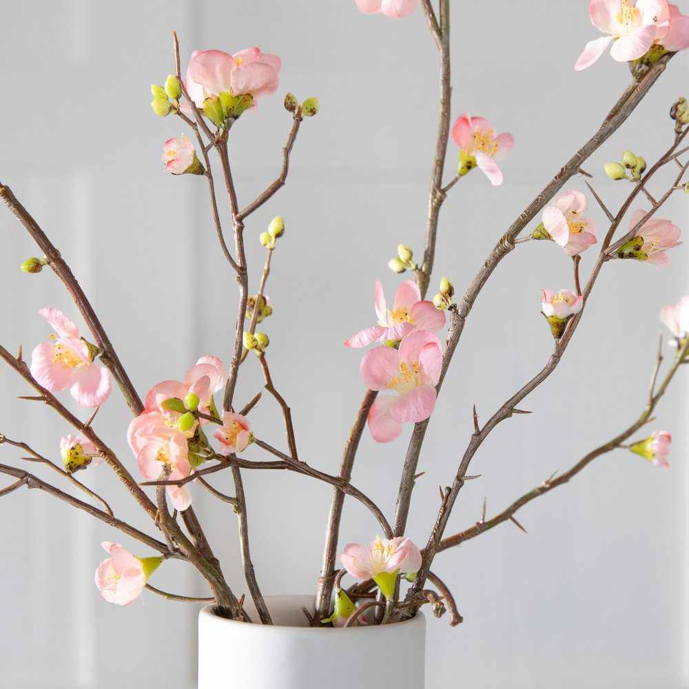 PLANTS - X3 Cherry Blossom Stem Pink