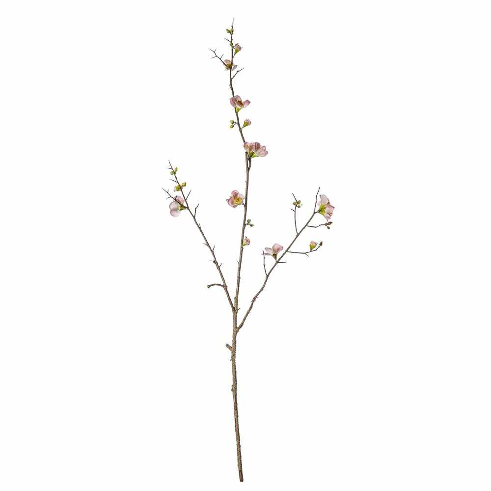 PLANTS - X3 Cherry Blossom Stem Pink