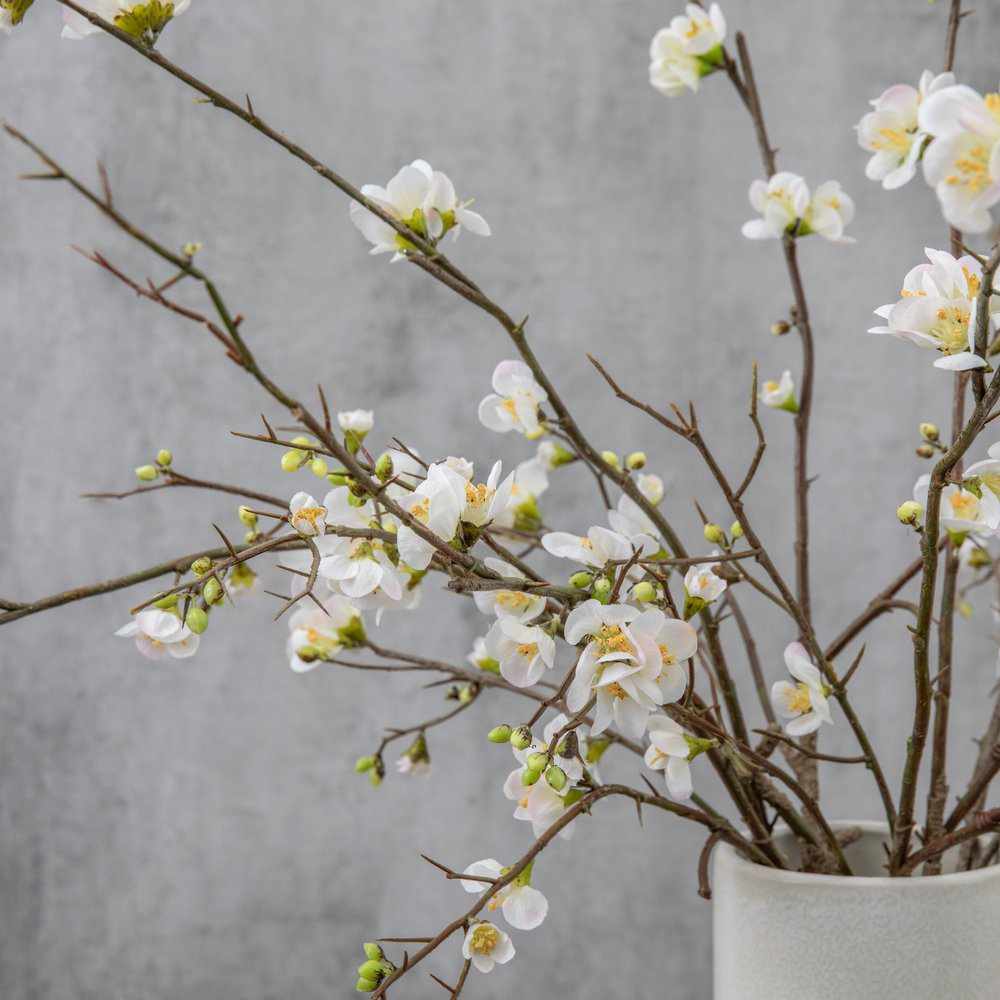 PLANTS - X3 Cherry Blossom Stem White
