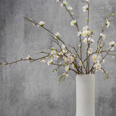 PLANTS - X3 Cherry Blossom Stem White