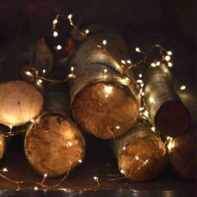 x3 Cluster Garland Lights Copper - NEST & FLOWERS