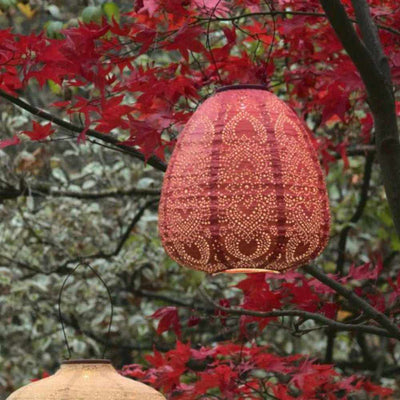 x3 Solar Lantern Pumpkins & Dome - NEST & FLOWERS