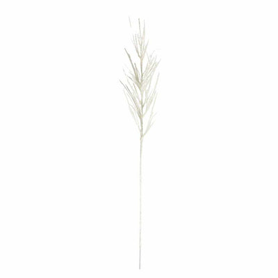 PLANTS - X5 Pampas Flocked White