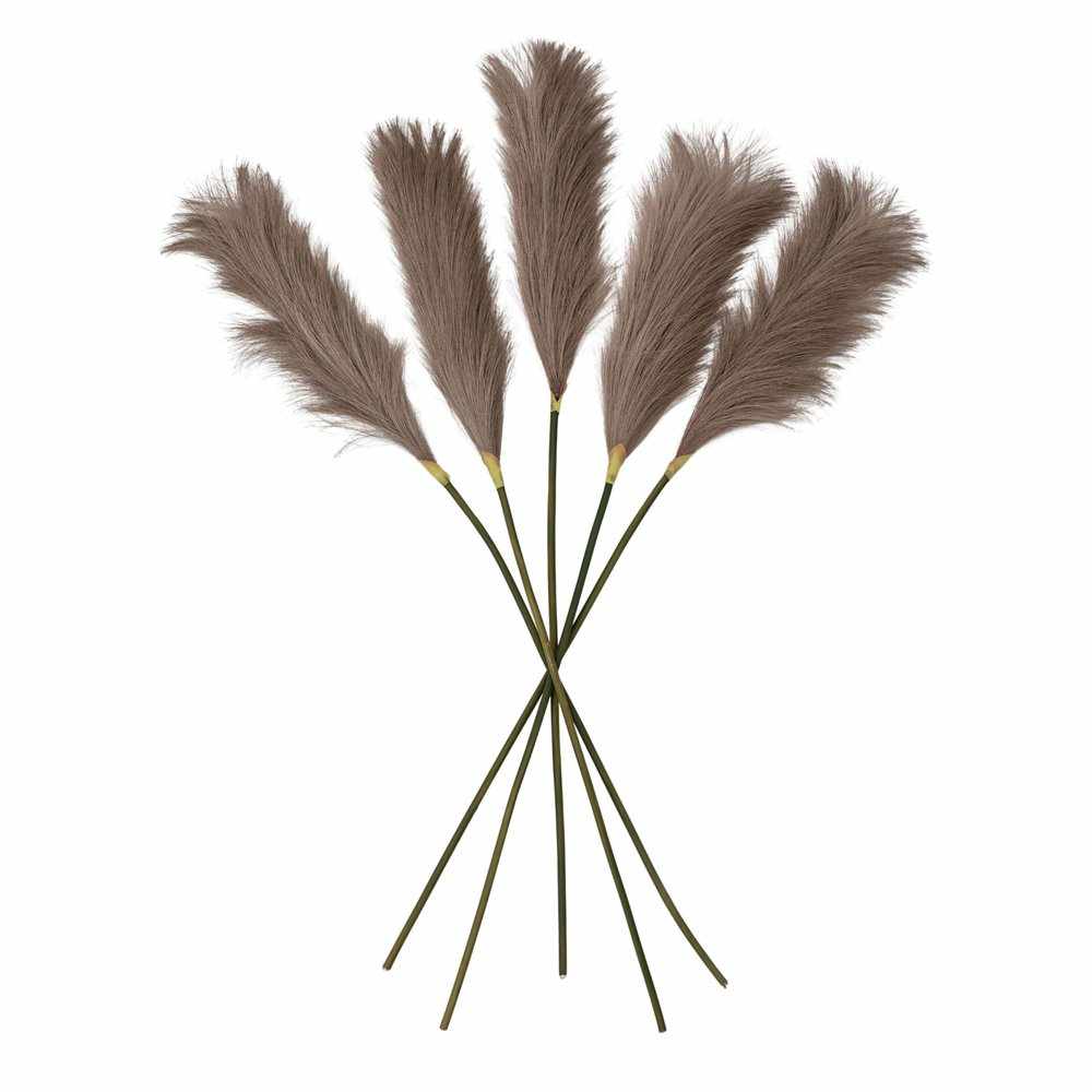 PLANTS - X5 Soft Feather Stem Brown