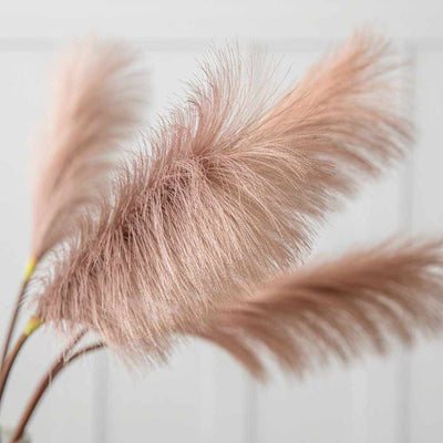 PLANTS - X5 Soft Feather Stem Dark Blush