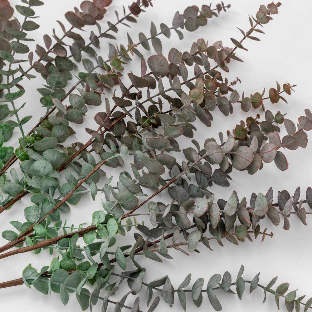 PLANTS - X6 Eucalyptus Spray Blush/ Green