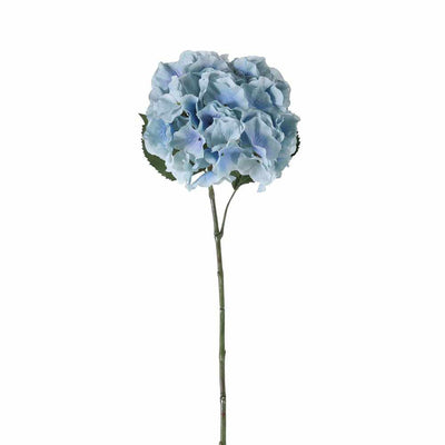 PLANTS - X6 Hydrangea Stems Blue Large
