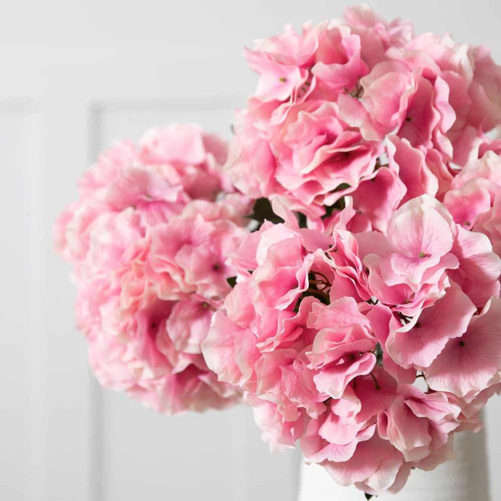 PLANTS - X6 Hydrangea Stems Pink Large