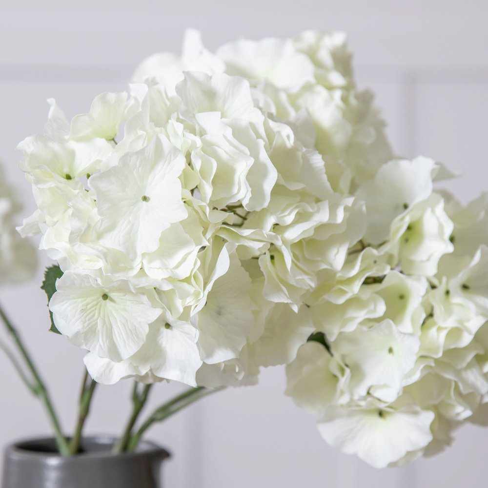 PLANTS - X6 Hydrangea Stems White Large