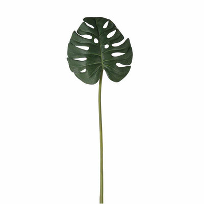 PLANTS - X6 Monsterra Leaf Stems