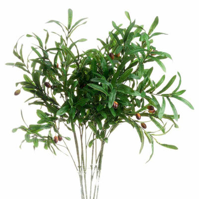 PLANTS - X6 Olive Branches