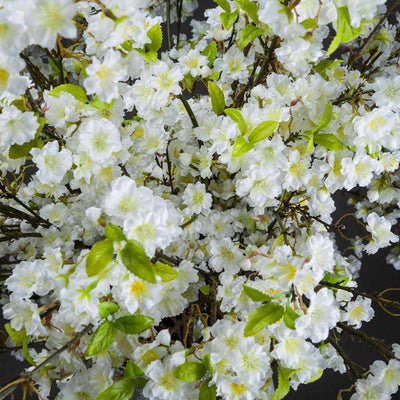 PLANTS - X6 White Cherry Blossom Sprays