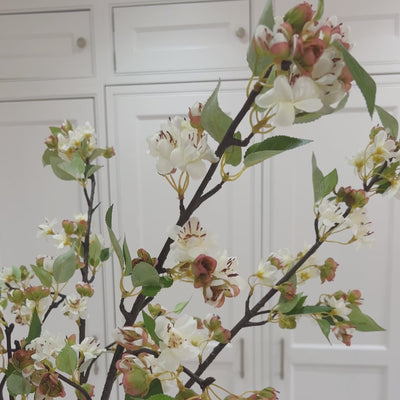 x6 English Blossom Branches